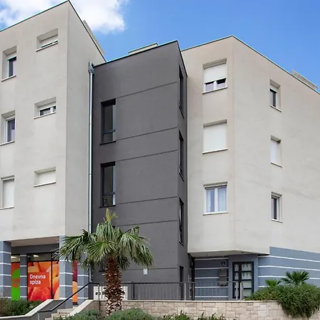Pet Friendly In Daire *