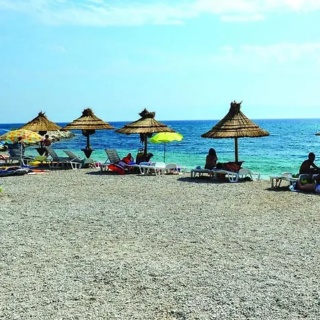 Pet Friendly In Podstrana